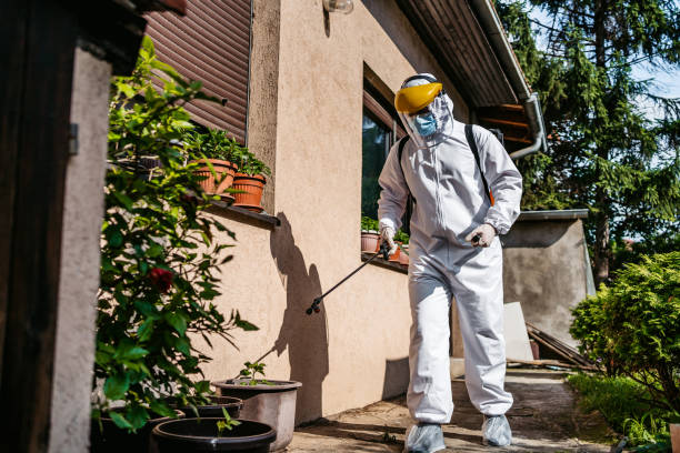 Best Wasp Removal Services  in Falls City, NE