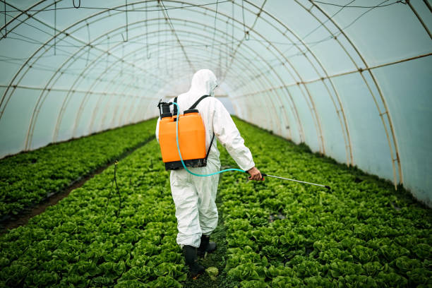 Best Residential Pest Control  in Falls City, NE