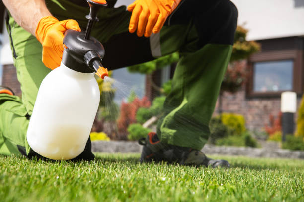Best Wildlife Control Services  in Falls City, NE