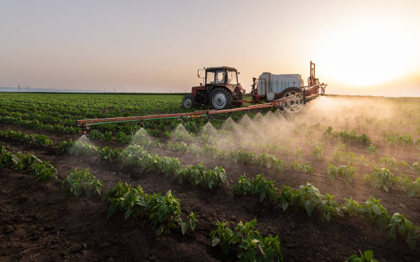 Insect Control in Falls City, NE
