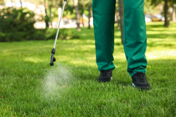 Best Cockroach Control Services  in Falls City, NE