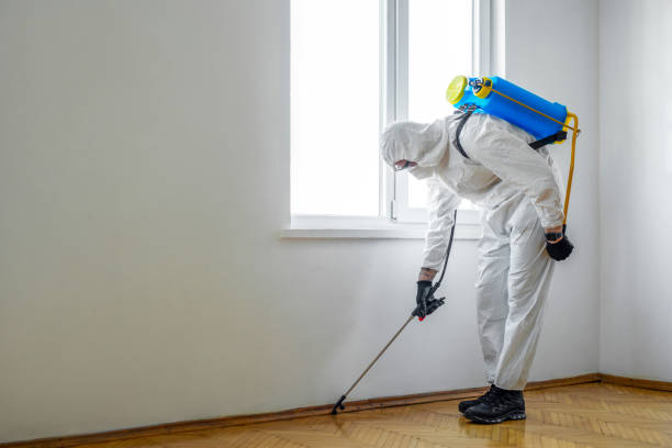 Best Affordable Pest Control Services  in Falls City, NE