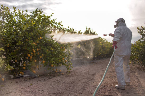 Best Bed Bug Extermination  in Falls City, NE