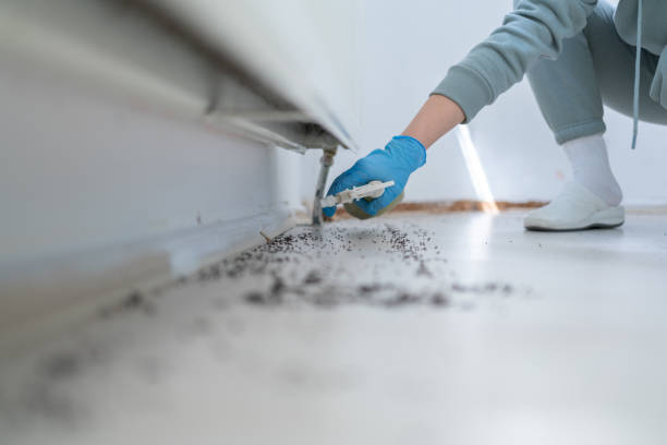 Best Affordable Pest Control Services  in Falls City, NE